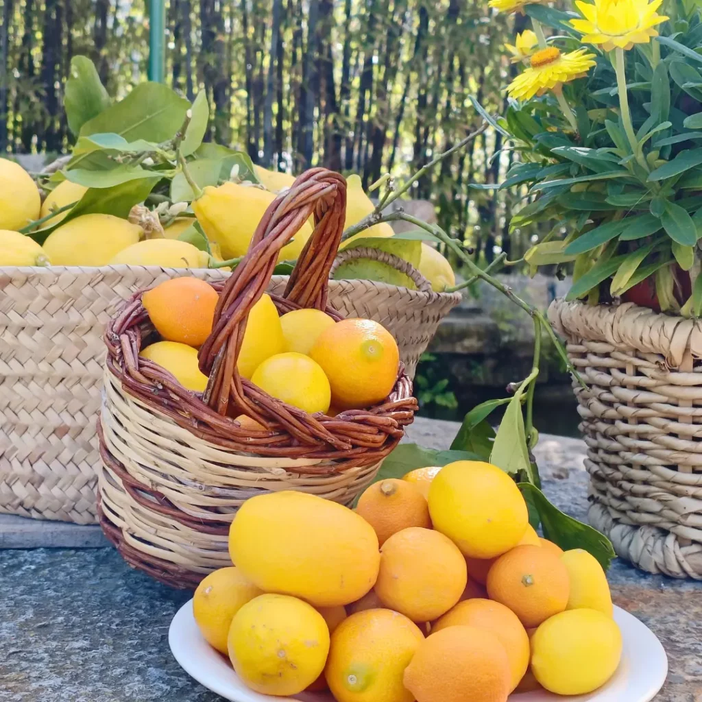 cesta llena de naranjas